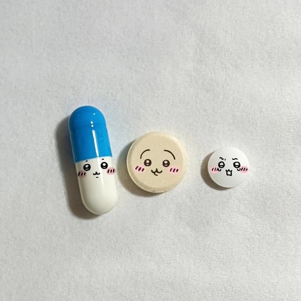 치이카와 보스턴백