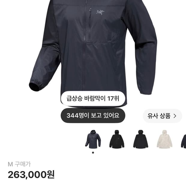 아크테릭스 후디 블랙 스쿼미시 사파이어