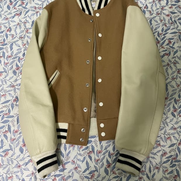 골든베어 바시티 M