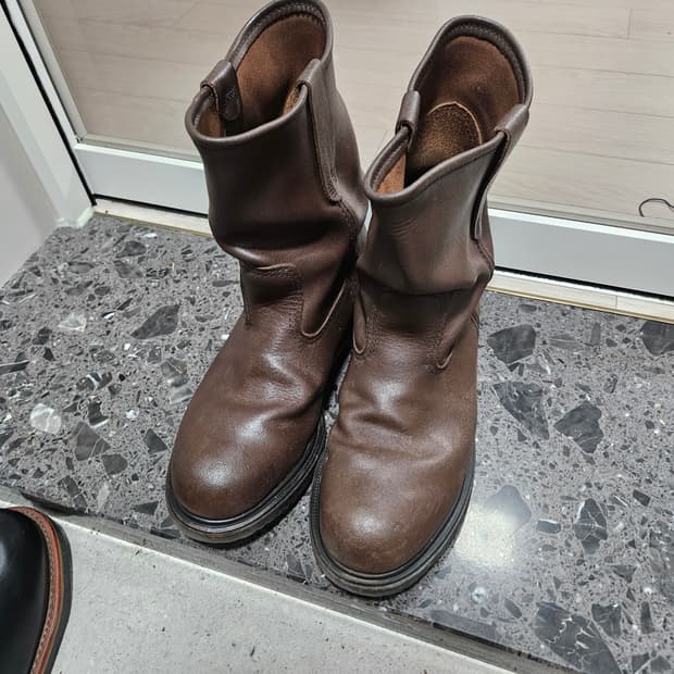 레드윙 페스코 250