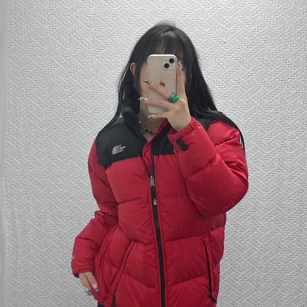 노스페이스 레트로 Y2K 00's 눕시 구스다운 패딩 XL C07945