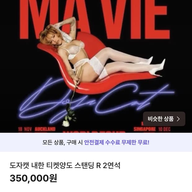 도자캣 내한 콘서트 12/13 스탠딩 R석 2연석