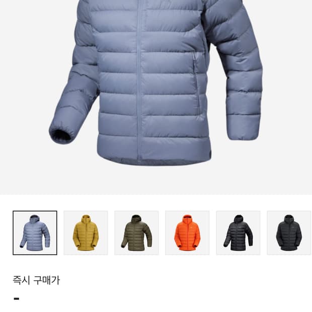 아크테릭스 토륨 후디 스트라터스