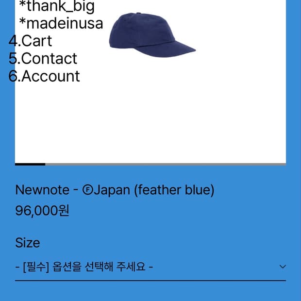테프스토어즈 feather blue 판매합니다!!