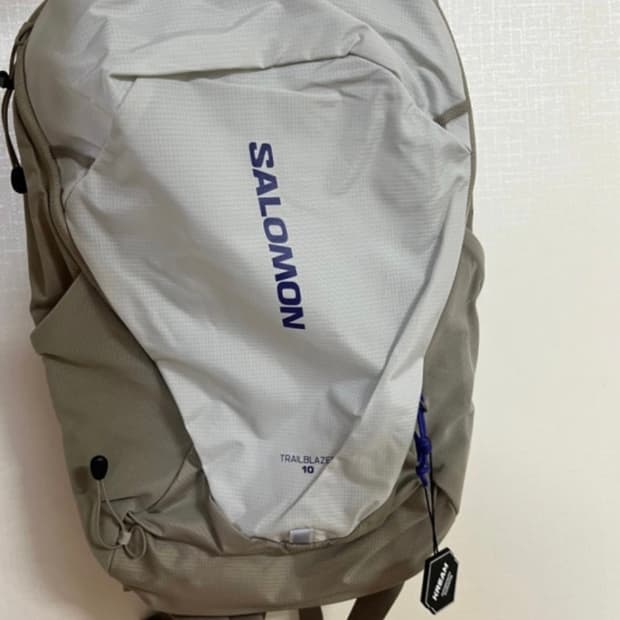 살로몬 그레이 백팩 10L