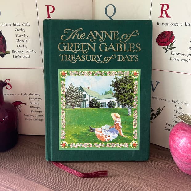 1994년 빈티지 책 빨간머리앤 다이어리