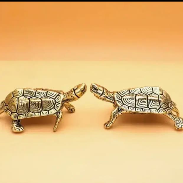 귀엽 깜찍 수명장수 복과 재물주는 황동복거북이(5마리)