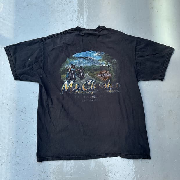 [할리데이비슨] •00s Vintage Mt Cheaha Tee