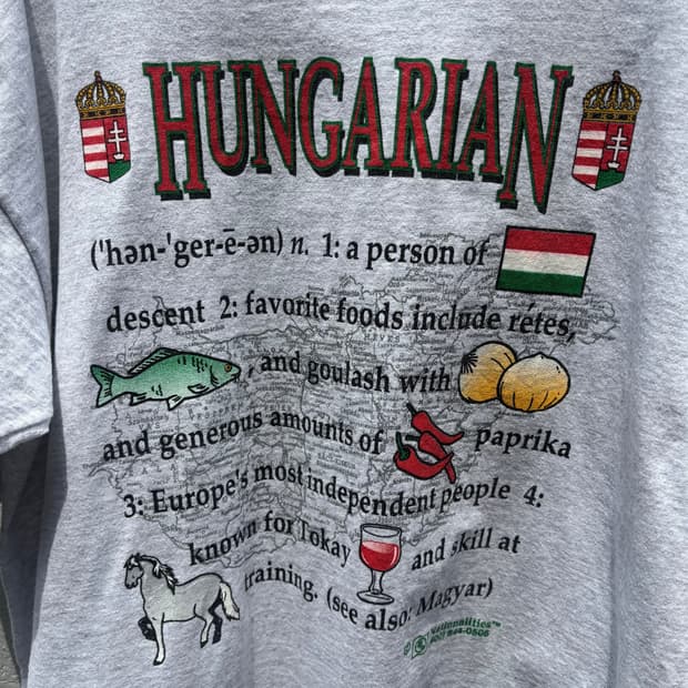 90s Hungarian Dictionary 싱글스티치
