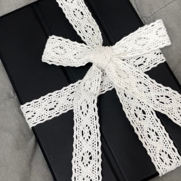 아이패드 미니 2