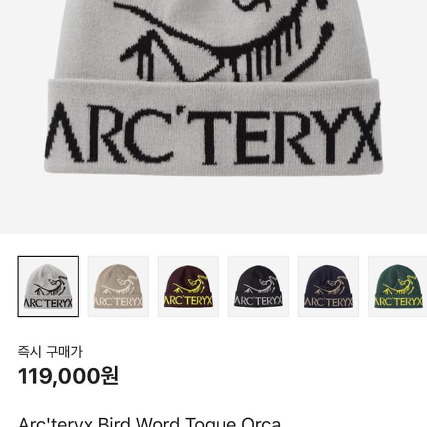 아크테릭스 비니 버드워드 토크 오르카