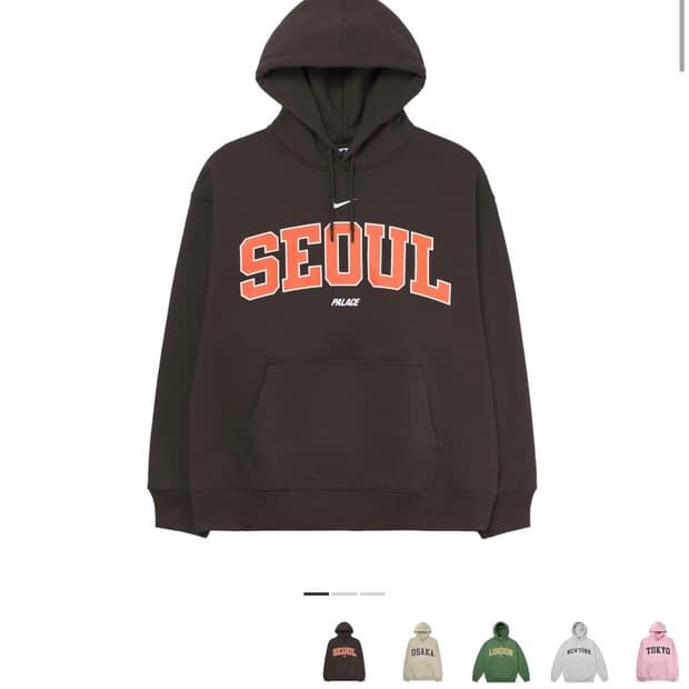 [L]팔라스 x 나이키 샵 후드 홍대 브라운 - 25FW 팔라스 후드