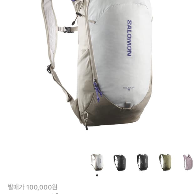 살로몬 트레일블레이저 10 그레이