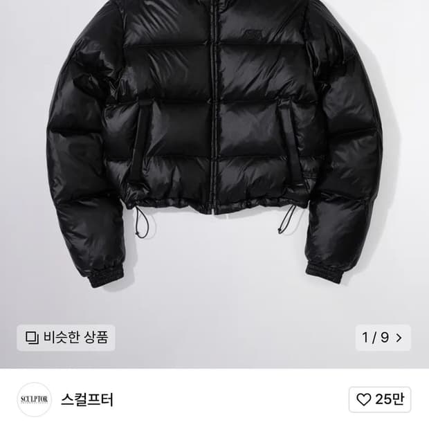 Sculptor Cropped Puffer Down Black