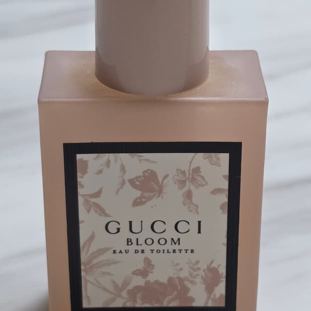 구찌 블룸 50ml 국문텍