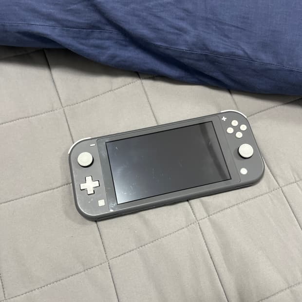 닌텐도 스위치 라이트 그레이 색상 본체 판매