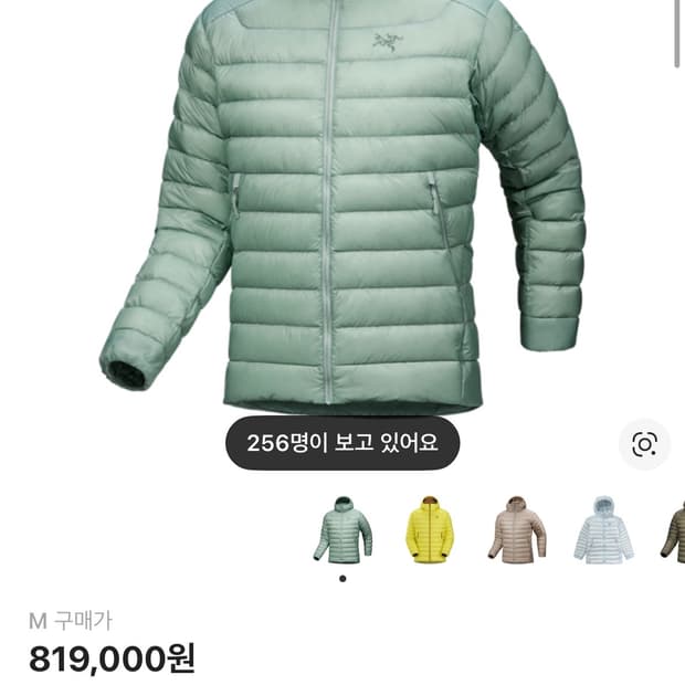 (새상품)아크테릭스 세륨 스톤그린 M