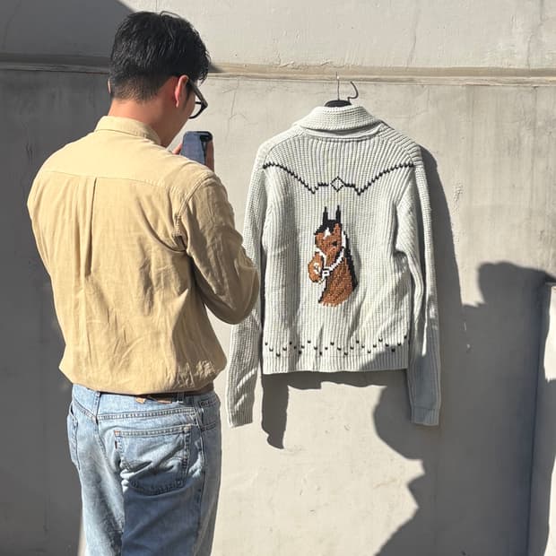 70s Horse Western Cowichan