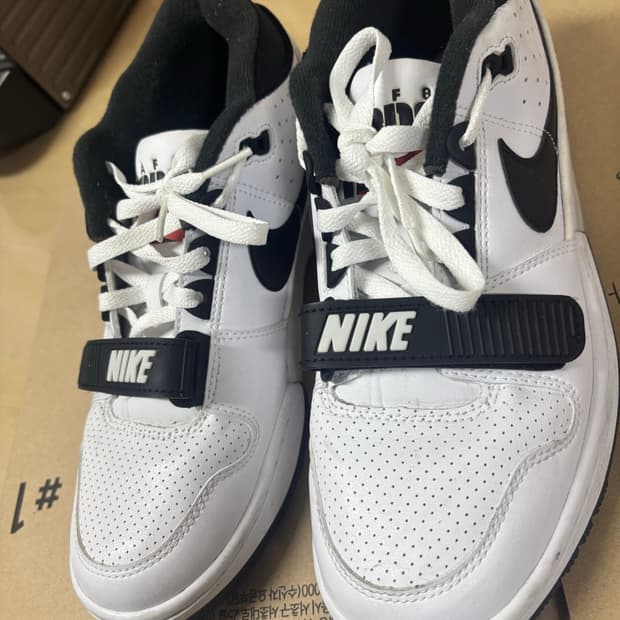 나이키 빌리아일리시 에어포스 270