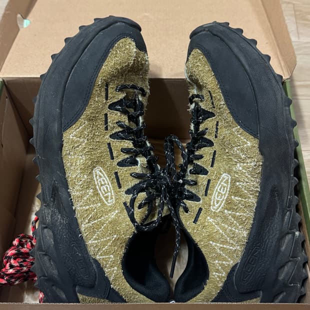 킨 그라미치 자이오닉 270