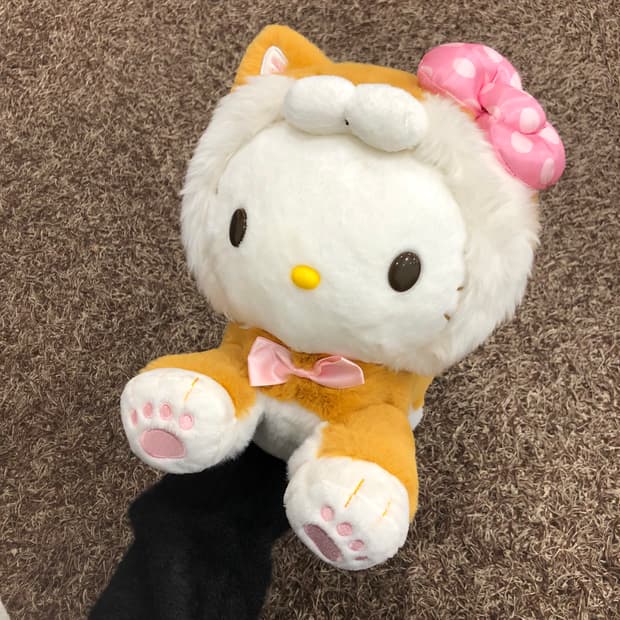 새상품 산리오 키티 시바이누 정품 인형