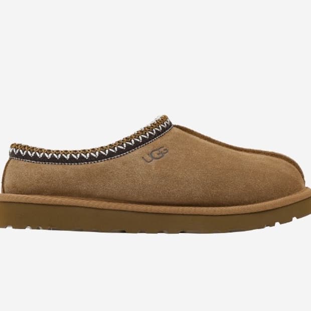 [270]어그 타스만 체스트넛