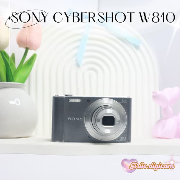 아이브레이디카 !)) 소니 사이버샷 W810 - SONY W810