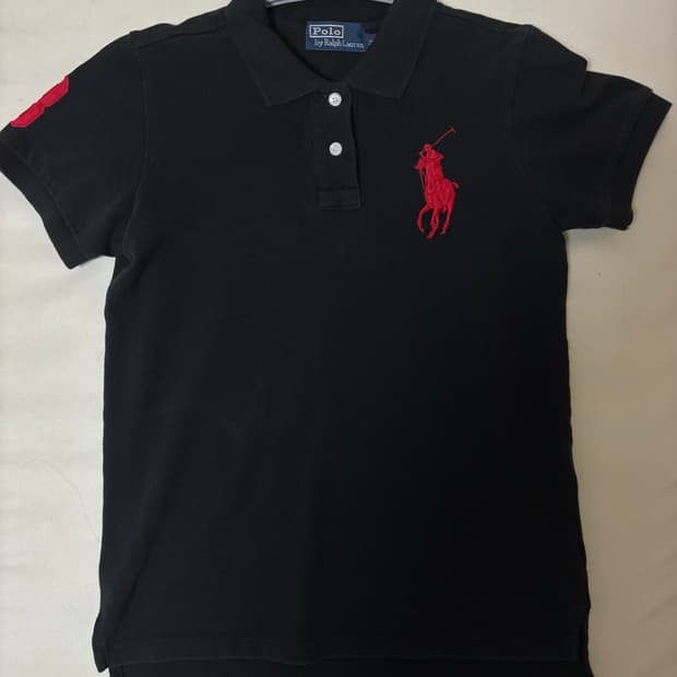 폴로 빅포니 카라