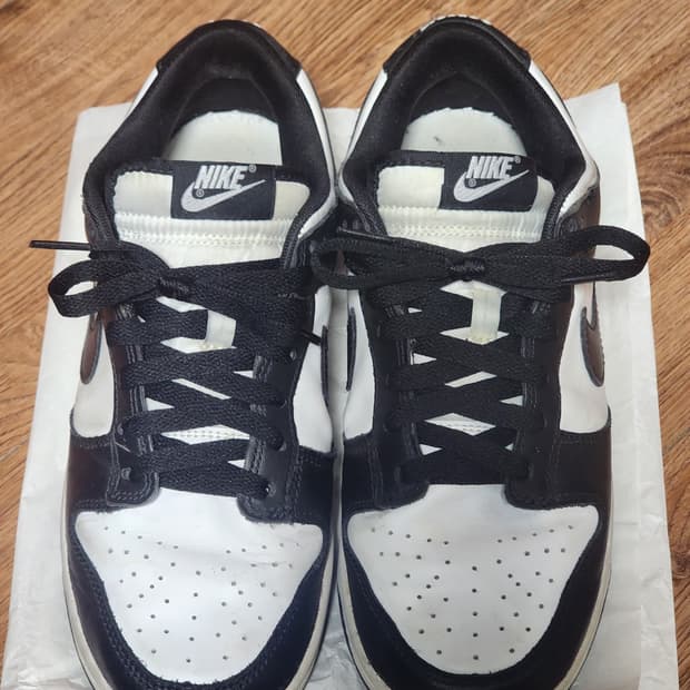 나이키 범고래 255 