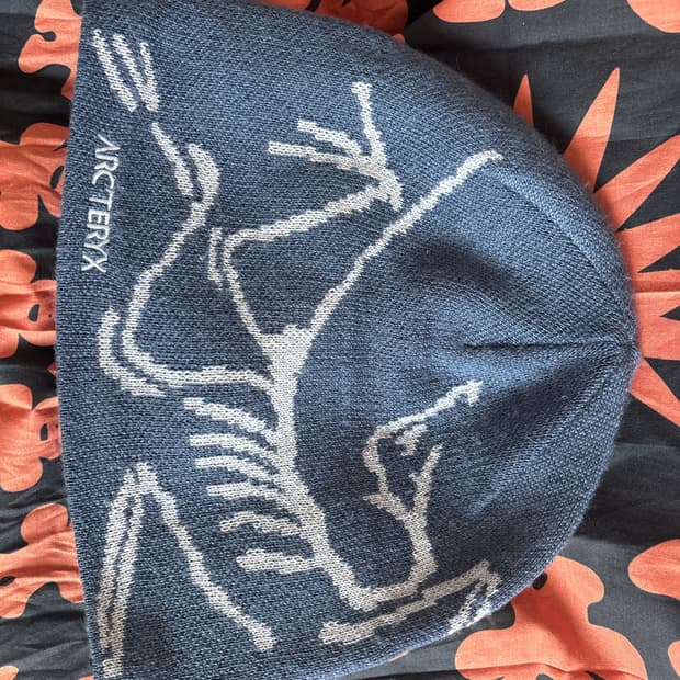 아크테릭스 버드 헤드 토크 비니