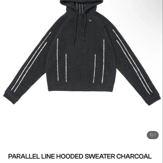 SCHISM PARALLEL LINE HOODED SWEATER CHAR