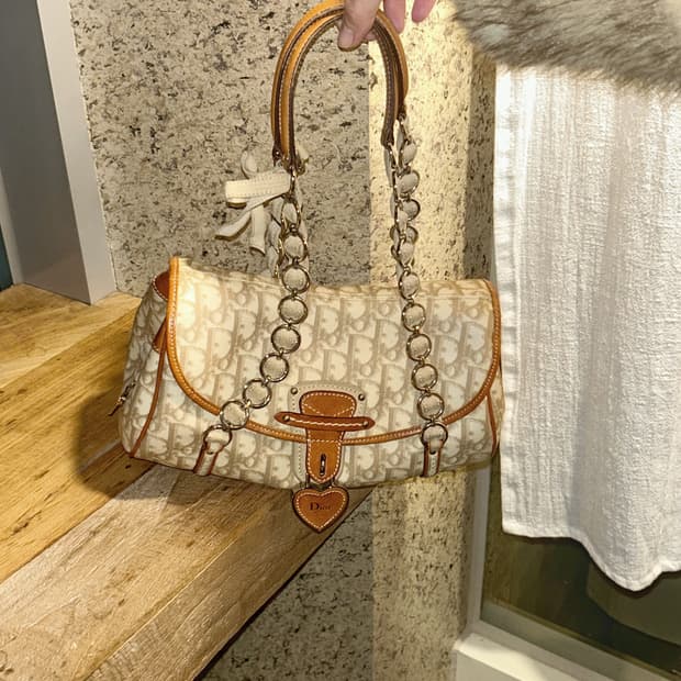 디올 로맨틱 트로터 하트 참 