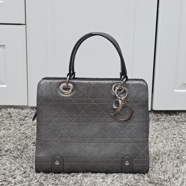 디올 레이디백 까나쥬 메탈릭 미듐 토트백