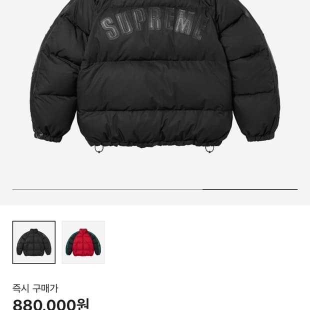 슈프림 스타슬리브 다운패딩 L