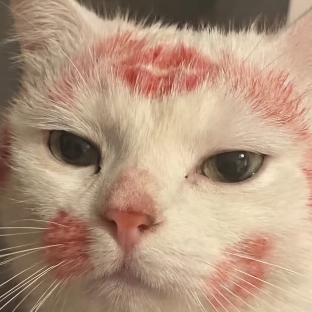 [M] 파타고니아 빈티지 딥파일 그린