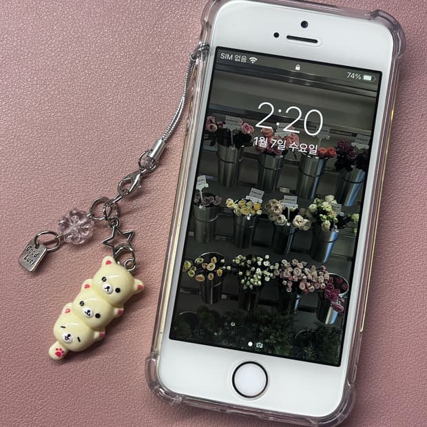 순정 아이폰 iphone se1 se 1세대 32GB