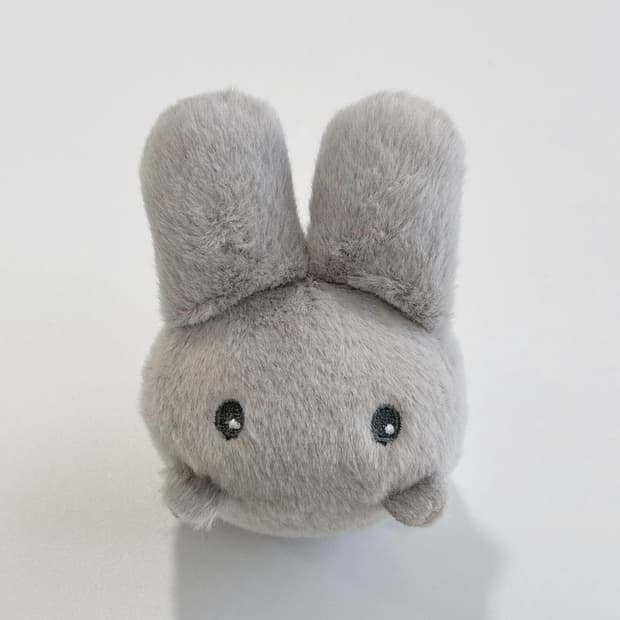 지초이 지토 눕토