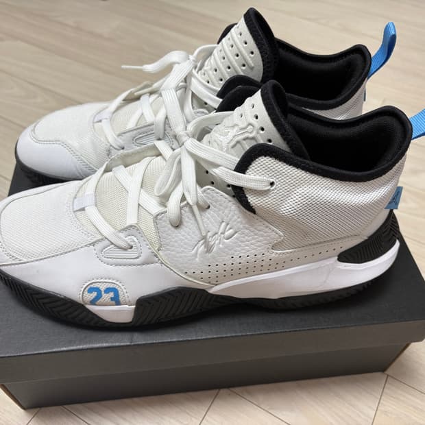 나이키 조던 스테이로얄2 285