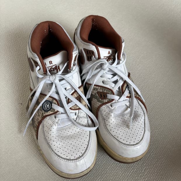 스투시 나이키 에어플라이트 270