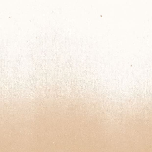 skduaya 님 결제창