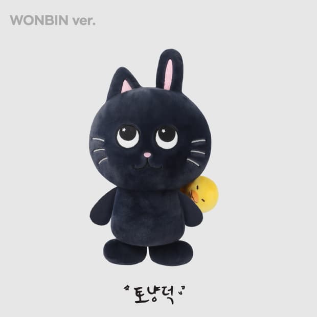 RIIZE 원빈 토냥덕 40cm 인형 새상품