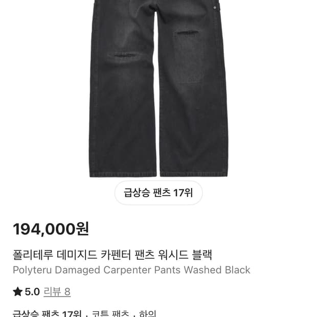 [2] 폴리테루 데미지드 카펜터 워시드 블랙