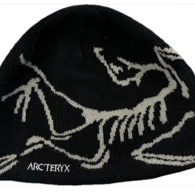 아크테릭스 비니 오르카