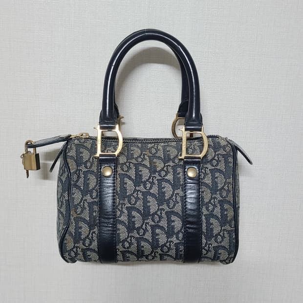 디올 오블리크 미니 보스톤