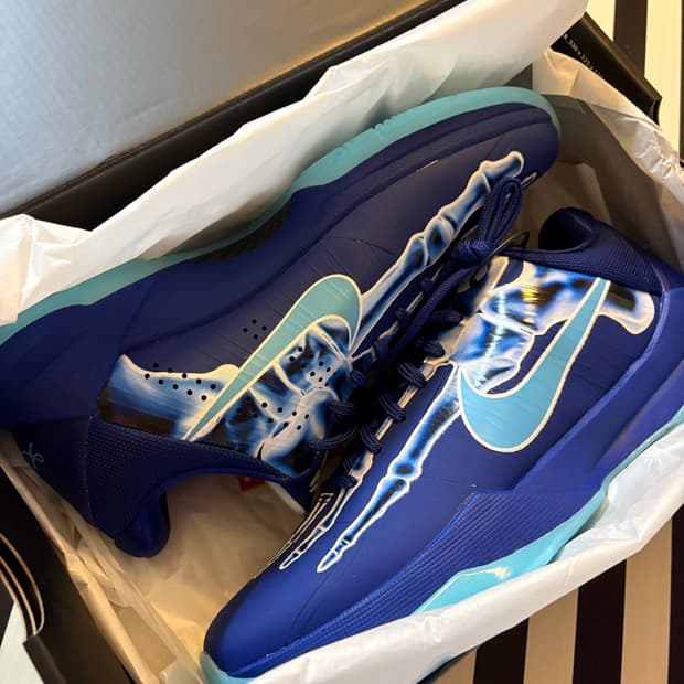 코비 5 엑스레이