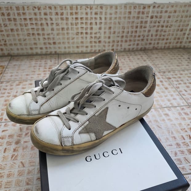 골든구스 225~230