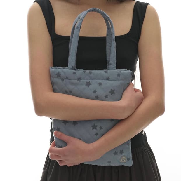 코이세이오 스타 백