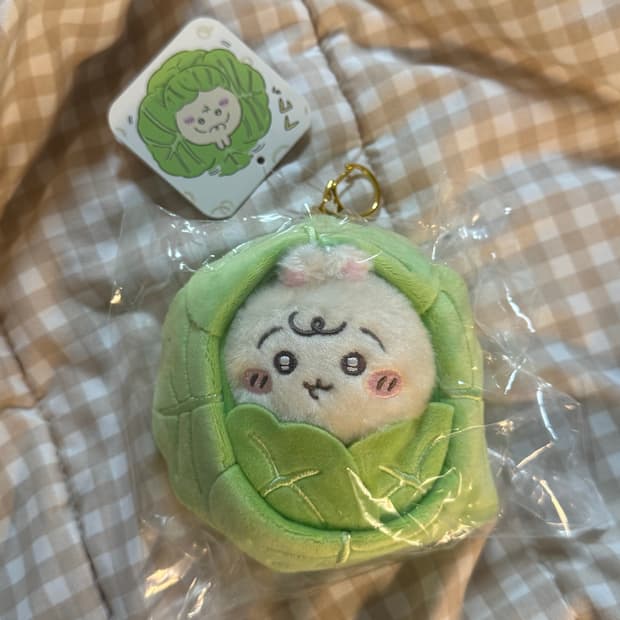 치이카와베이비 양배추 우사기