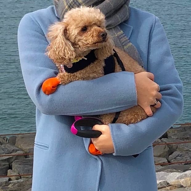 산드로 하늘색 울 코트