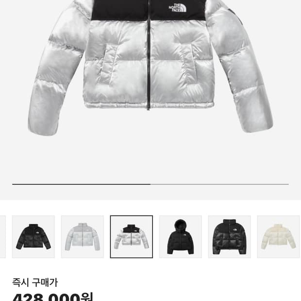 노스페이스 화이트 라벨 노벨티 눕시 다운 자켓 SE 실버
